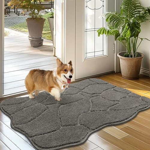 Biscpro Fußmatte Innen Weicher 50 x 80 cm, rutschfeste Waschbar Türmatte, Schmutzfangmatte Sauberlaufmatte,Eingangstürmatte,Fussmatte für Hund, Eingang, Haustür,Flur