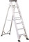 Svelt Scala Alluminio 5 gradini Professionale Doppia a Un Tronco di Salita con Vaschetta Portattrezzi, P3