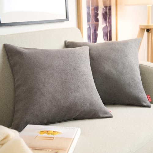 Blumtal 2er Set Kissenbezug 50x50 anthrazit - kuschelige Chenille Kissenbezüge mit verstecktem Reißverschluss, Oekotex Zertifizierte Kissenhülle für Deko-Kissen Sofakissen Polster & Zierkissen