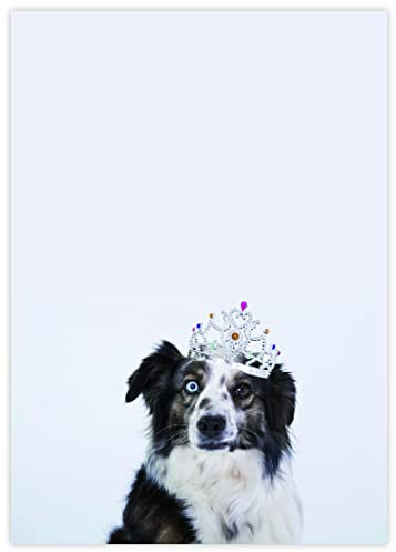 Briefpapier mit Hund DIN A4 - Hundemotiv Papier Hunde - 20 Blatt - Motiv Nr. 057 | 80g/m²