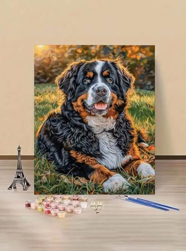 Peinture par Numéros Adulte Animal Peinture Numero Adulte Chien, Tableau a Peindre avec Numero, Pinceaux Kits de Numbers D'art Enfant Loisirs Créatifs Décoration Intérieure 30x40cm Model 1-2-F