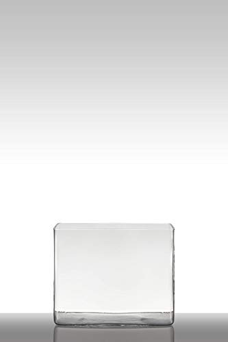 INNA-Glas Maceta de Cristal MIRJA, Rectangular, Transparente, 25x18x20cm - Jarrón de Vidrio - Florero Decorativo