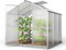 GFP Serre ECO 3 Cadre Aluminium 192x192 cm Plaques Double paroi 6 mm avec Cadre de Fondation et ouvre-fenêtre Automatique