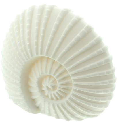 FRANK FLECHTWAREN, LED-Muschel White, Maße: 18 x 9 x 15 cm, Maritimes elegentes Flair, Schöne Meeresschnecke, beleuchtet