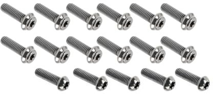 FSFYUK 17Pcs Front & Rear Disc Brake M8*20 Retaining Screw Rotor Bolt Titanium Alloy Silver for BMW S1000RR S1000XR M1000RR 19-24