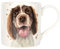 LESSER & PAVEY Springer Spaniel Mug Robert James Hull Tea and Coffee Mugs for Hot Drinks | Fine China Printed Mugs for Kitchen & Home | Reusable Ceramic Cups for Every Occasion | Gifts for Women & Men