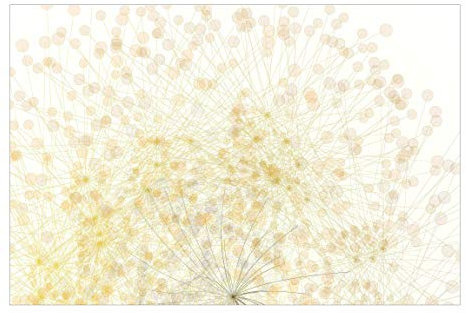 Blumenmuster Tapete - No.RY6 Blütenregen - Vliestapete Premium Breit 320 x 480cm
