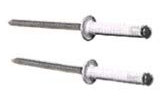 Rivet Blanc 4 X 16 MM BLISTER 25