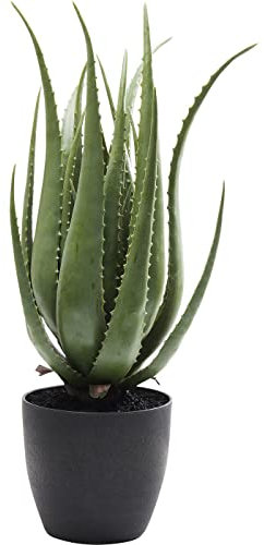 Kare Design Deko Pflanze Aloe, Kunstpflanze wie echt, Künstliche Pflanze mit Topf, Zimmerpflanze, Zierpflanze für Badezimmer, Küche, Wohnzimmer, Schlafzimmer, Schwarzer Topf, 69x20x20 cm (H/B/T)