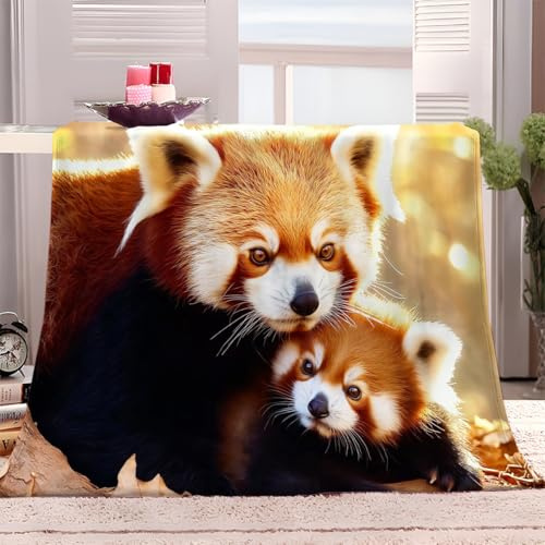 Tier Orange Roter Panda Flanelldecke Kuscheldecke Orange Farbe Super Soft Weich Wohndecke Warm Flauschig Decke Sofadecke oder Tagesdecke, Wohndecke für Erwachsene und Kinder Geschenk 130x150 cm
