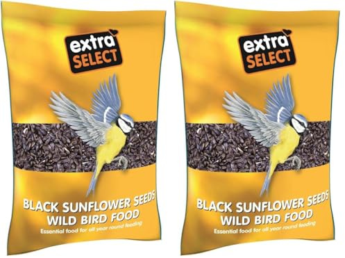 Extra Select Black Sunflower Seed Wild Bird Food, 2 kg (Pack of 2)