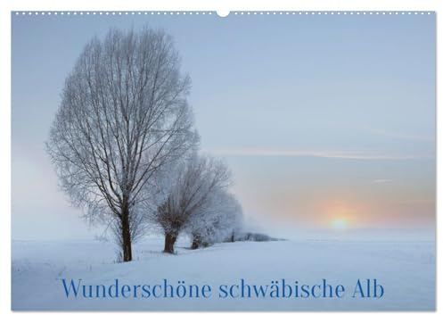 Wunderschöne schwäbische Alb (Wandkalender 2026 DIN A2 quer), CALVENDO Monatskalender: Wälder, Wiesen, Felder und Bäume (CALVENDO Natur)
