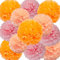 We Moment Zone 12 Stück Papier Pompons Set,Rosa Orange Pfirsich Pom Poms Papier für Baby Jungen und Mädchen Geburtstag Party Deko