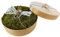 Ringbox-Ringkissen VINTAGE Moos i.Holzbox Hochzeit