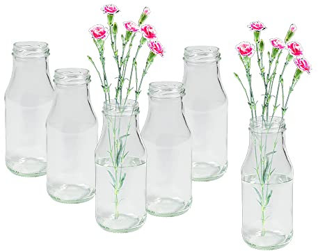6 Stück Runde Mini Vasen Typ 263 Glasfläschchen kleine Dekoflaschen Flasche Väschen Vase Glasflaschen Blumenvase (6 Stück)