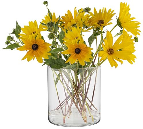 TREND FOR HOME Vase Cylindrique en Verre H: 15 cm Vase Fleur Pot Pourri Vase Rond en Verre Transparent Vase Minimaliste Vase Decoratif Recipient pour Bougies | ⌀ 15 cm | 2350 ML | Calen