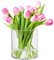 TREND FOR HOME Vase Cylindrique en Verre H: 15 cm Vase Fleur Pot Pourri Vase Rond en Verre Transparent Vase Minimaliste Vase Decoratif Recipient pour Bougies | ⌀ 15 cm | 2350 ML | Calen