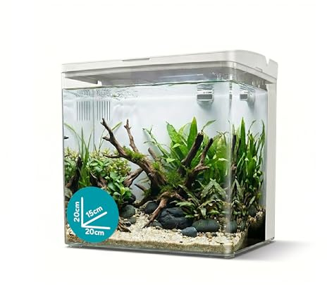 AQPET NEYA Acquario da Scrivania con Filtro e Pompa Inclusi, LED 5 Modalità e Porte USB – Mini Acquario in Acrilico con Coperchio Apribile, Ideale per Betta, Caridine e Piante Acquatiche 5lt (Bianco)