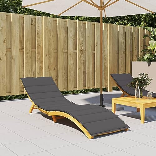 JUNZAI Sonnenliegen-Auflage, Liegenauflage, Auflage Gartenliege, Liegestuhl Auflage, Bankauflage, Stuhlauflage Für Hochlehner, Liegestuhlauflagen, Anthrazit 200x60x3 cm Stoff