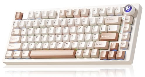 LEOBOG Salla HI75C Pro PC Aluminum Alloy Gaming Keyboard | Bluetooth/2.4GHz/Type-C Tri-Modes, RGB Backlight, 81 PBT Programmable Keys, Pre-Lubricated Turquoise Switch