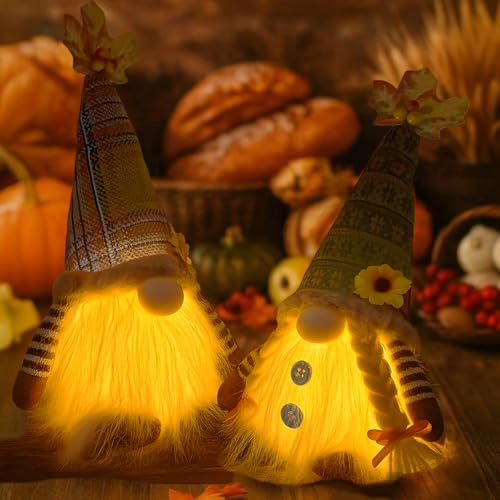 ZeiLaBang Kakadi 2 Stück Herbstdeko Wichtel, Plüsch Wichtel, Halloween Deko mit LED, Herbstdeko Zum Aufhängen, Plüsch für Erntedankfest, Weihnachten, Baum, Tisch Dekoration
