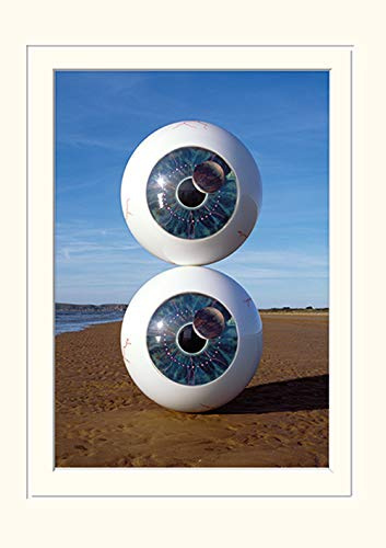 Pink Floyd 'Pulse' montiert Drucken,30 x 40 cm