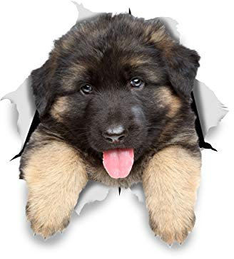 Winston & Bear 3D German Shepherd Dog Stickers - 2 Pack - Realistic Vinyl Wall Decals - Indoor/Outdoor, Fridge, Toilet & Car