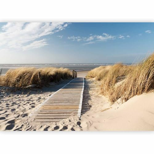 murando Photo Wallpaper Beach Sea 300x210 cm / 118.1 x 82.7 Non-Woven Premium Art Print Fleece Wall Mural Decoration Poster Picture Design Modern Nature Sand Wood Grass Ocean Clouds Sky c-C-0176-a-a