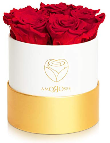 Amoroses Petite - Geschenkbox 5 ewige stabilisierte Rosen - Eleganter Strauß echter Blumen | Geschenkidee (Petite Weiße Schachtel mit Roten Rosen)