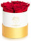 Amoroses Petite - Confezione Regalo 5 Rose Stabilizzate Eterne - Elegante Bouquet di Fiori Veri | Idea Regalo (Petite Scatola Bianca con Rose Rosse)