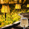 Weiongppy 2 Stück solarlampen für außen,solarlampen für außen garten, IP44 Wasserdichte solar gartenleuchten,Rattan Rasen Garten Licht,für Außen, Hinterhöfe, Gehweg, Gärten, Rasen, Patio (Warm-Weiß)
