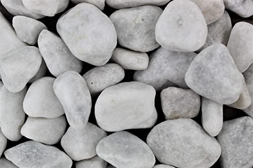 Gartenwelt Riegelsberger 5 kg Carrara Marmor Kies gewaschen Körnung 25-40 mm Marmorkies weiß schneeweisser Kieselsteine Zierkies Steine Deko Garten