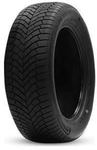 DOUBLE COIN Reifen 215/65 R16 102 V Ganzjahresreifen PKW ROAD