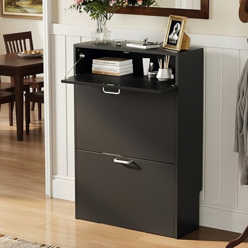 LEADZM Schuhschrank Schmal,Schuhkipper mit 2 Flip-Schubladen Schuhregal mit 1 Schubladen für den Eingang, Flur, Wohnzimmer 63,5 x 24 x 94 cm (Schwarz)