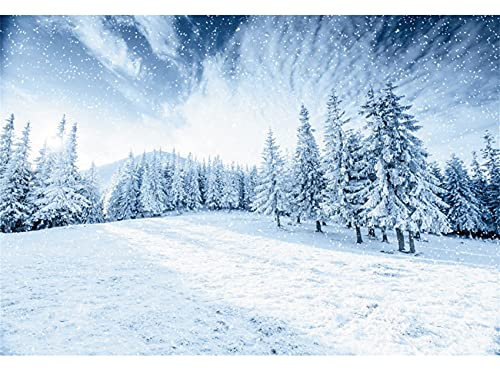 Schnee Hintergrund 300x200cm Winter Berg Wald Schnee Szene Hintergrund verschneit Wald Berg Fotografie Hintergrund für Neujahr Weihnachten Party Dekoration Banner