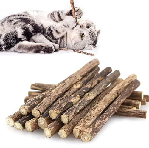 SeaMorn Lot de 30 bâtons molaires pour chat, jouets pour chat, jouets à herbe à chat naturels Matatabi Silvervine, jouets à mâcher pour chat, jouets à mâcher dentaires pour chat et chaton
