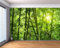 Fotomurales Decorativos Pared Bambú 150x105 cm Papel Pintado Tejido No Tejido Verde Fotomural 3D Mural Paredes Papel Tapiz Decoración Salón o Dormitorio a.3625