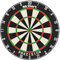 McDart Precision Steeldartboard in Turnierqualität mit HD Zahlenring