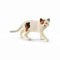 schleich FARM WORLD | Amerikanische Kurzhaarkatze 13894 | schleich Spielfigur | detailgetreue Tierfiguren | tolles Geschenk für Jungen und Mädchen | Bauernhof Spielzeug ab 3 Jahre | 7 x 2 x 3 cm