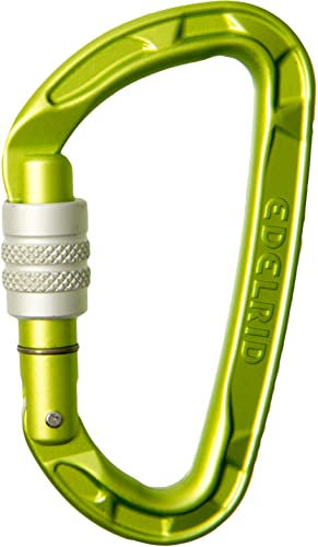 EDELRID Unisex - Adult Pure Screw Carabiner, Oasis, One Size