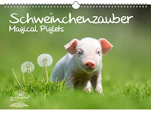 Schweinchenzauber Immerwährender Kalender DIN A3 Schweinchen - Seelenzauber