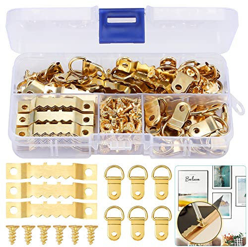 DazSpirit Ganci per Quadri (235 Pezzi) con Anelli a D, Gancio a Dente di Sega e Viti, Ganci per Appendere Quadri, Kit per Appendere Quadri, Fissare Foto, Ganci per Cornici per Foto Immagini Appese