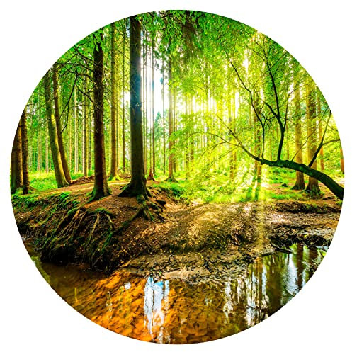 murando runde Fototapete selbstklebend Wald 180x180 cm Tapeten Wandtapete XXL Moderne Wanddeko Design Wand Dekoration Wohnzimmer Schlafzimmer Büro Natur Bäume Landschaft