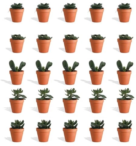 DutchLeafs Crassula Mix 20 Stück Verschiedene Mini-Sukkulenten im Ø 7 cm Terrakotta Blumentopf - Crassuloideae Dickblatt Sukkulent Kleine Pflanzen Sammlung Pflegeleichte Zimmerpflanzen - Höhe 8-15 cm