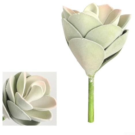 Künstliche Sukkulente 16 cm Realistisch Beflockt Plastik Pflanze Pflegeleicht für Zuhause Büro für DEKO Tischplatte für REGAL Terrarium DIY Grün-Rosa(Green-Pink)