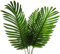 Shiwaki 5 PCS Plantes Artificielles Feuilles Décorations Faux Grandes De Palmier Tropical Imitation Fougères Plantes pour La Maison Cuisine Fête Arrangement De Fleurs Décorations De Mariage