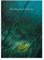 Displate Offiziell Herr der Ringe MetallPoster Magnetische Befestigung Inklusive Lizenziert Bilder Hochwertiges Poster The Ring of Power Poster 45 cm x 32 cm