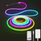 Aclorol RGB+IC Neon LED Streifen 5M Dimmbar LED Strip Outdoor Wasserdicht Flexibel Leiste 24V Musik-Sync Segment DIY Design Arbeitet mit Bluetooth Fernbedienung für Schlafzimmer, Wand Deko