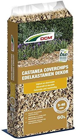 Edelkastanien Dekor 5-40mm