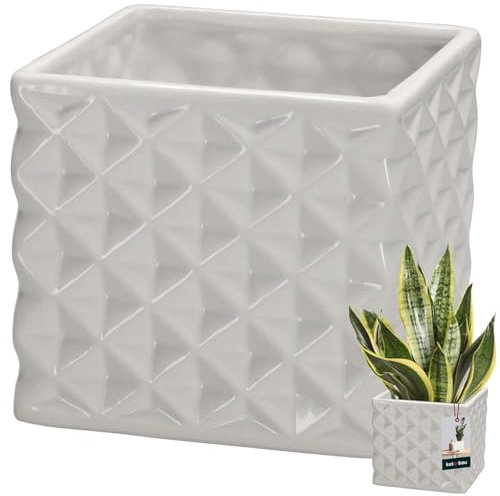 KOTARBAU® Maceta de cerámica esmaltada, cuadrada, color blanco, 14 x 14 cm, altura 13 cm, para plantas de interior, orquídeas y suculentas, maceta, maceta, maceta, macetero, cuadrado, colección de